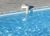 Schwimmbeckenalarme 