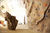 Kletterausr�stung: Innen-Kletterwand...