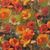 Blumenstoff 
