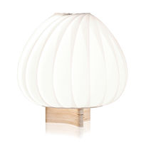 Tischlampe / modern / Kunststoff / aus Birke