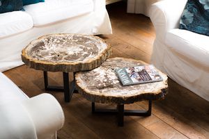 moderner Couchtisch / versteinertes Holz / Innenraum