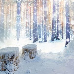 Objektmöbel-Schneekabine
