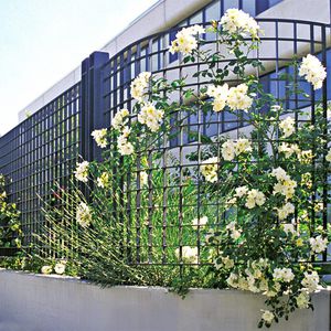 Zaun für Grünanlagen / Gitter / verzinkter Stahl / verstärkt gesichert