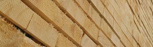 Sperrholzplatte für Bauanwendungen / für Innenausbau