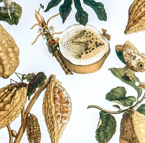 klassische Tapeten / mit Naturmotiv