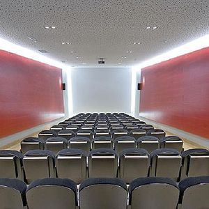 Akustikplatte für Innenausbau / Holz / perforiert / für Hörsaal