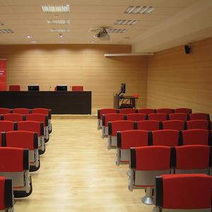 Akustikplatte für Innenausbau / Holz / für Hörsaal / Gewerbe