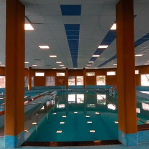 erdverlegtes Schwimmbecken / Beton / Außenbereich / Rehabilitation