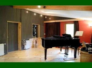 wandmontierte Akustikplatte / Schaumstoff / für Hörsaal / Gewerbe