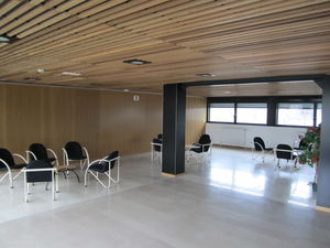 Akustikplatte für Decken / Holz / für Hörsaal / Objektmöbel