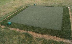 Synthetik-Rasen / in Rollenform / für Sportplätze