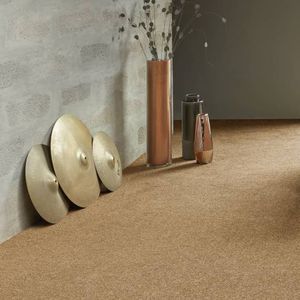 Tuft-Teppichboden / Polyamid / Samt / für Privatgebrauch