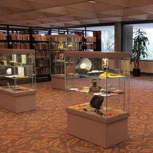 moderne Vitrine / Metall / für Museen