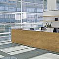modern ausEmpfangstheke - RECEPTION