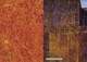 Tarkett Linoleum xf - Tarkett