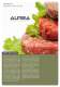 Hamburger forming machines PH AUREA