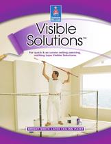 Visible Solution