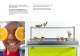 Exigence Kinder Buffet