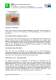 EasyBEAM 4.4 Informationskarte