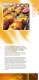 Hauptkatalog Cool Passion - Sagi Spa