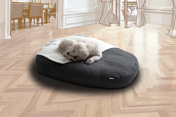pet.interiors Photo 3