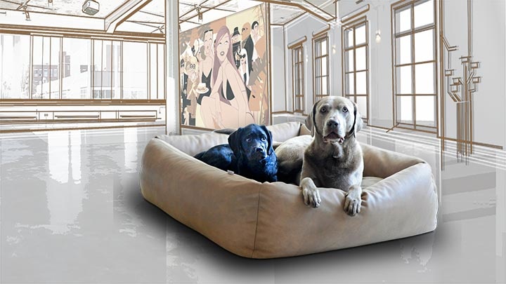pet.interiors Photo 4