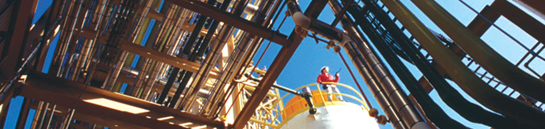 CAD-Software - SMARTPLANT® REVIEW - Intergraph