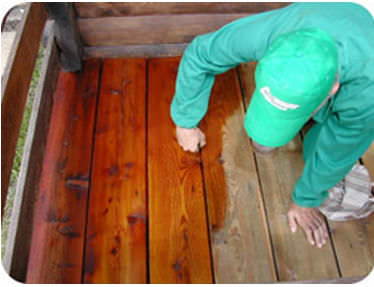 Schutzbearbeitung für Forstschutz - EVERWOOD® - Ecobeton Italy srl