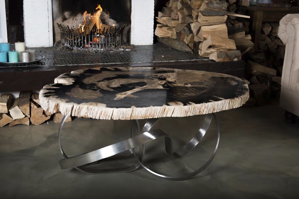 Moderner Couchtisch - . - Unik - versteinertes Holz / Innenraum