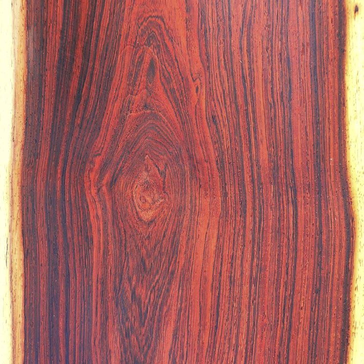 Holzfurnier - RIO ROSEWOOD - SCHORN&GROH