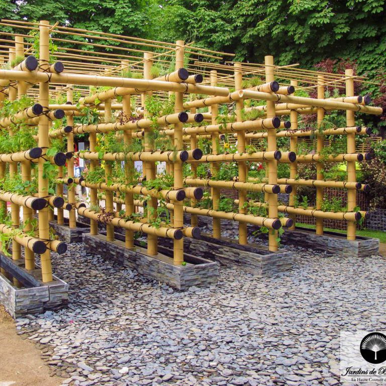 Bambus-Pflanzensttze - URBAN VEGETABLE - Jardins de Babylone - Spalier /  fr stdtische Bereiche / fr Gewrzpflanzen