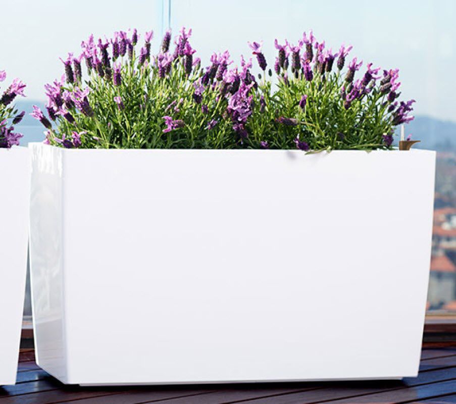 PolypropylenPflanzkübel MARBELLA BOX Artevasi, S.A rechteckig
