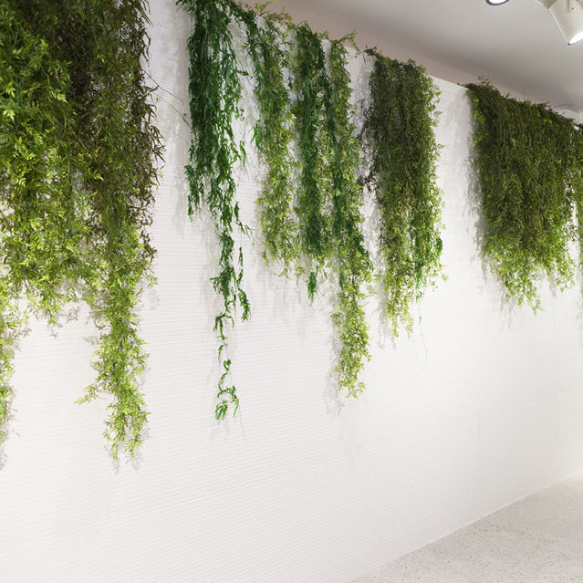 Stabilisierte Zierpflanze MOSS&PLANTS HANGING PLANT Greenarea