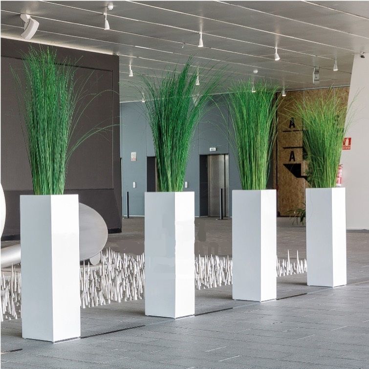 Stabilisierte Zierpflanze SGI/0112 Végétal Indoor großformatig