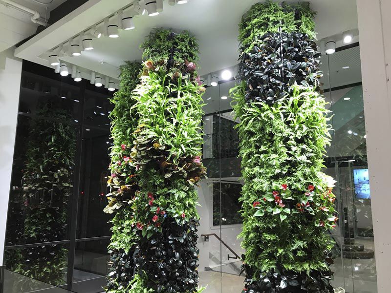 Wandbegrünung / lebende Pflanzen - VERSA WALL® - GSky Plant Systems