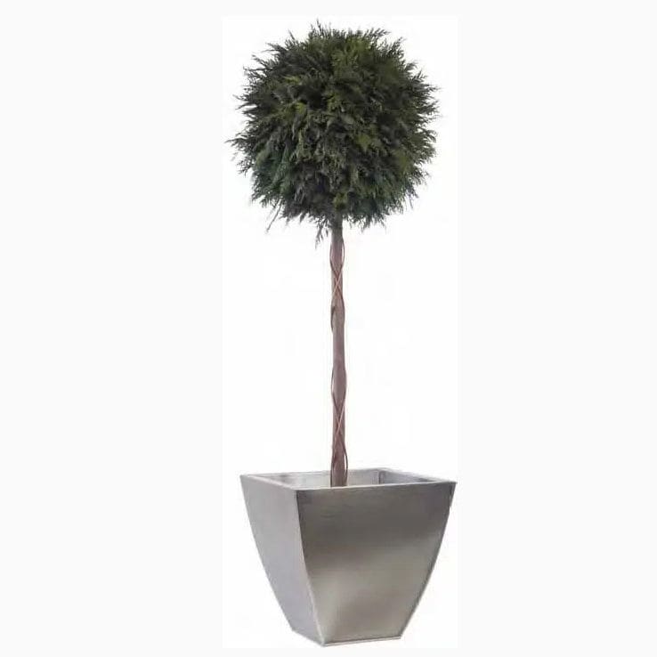 Stabilisierte Zierpflanze GREEN THUJA TALL TOPIARY LinfaDecor