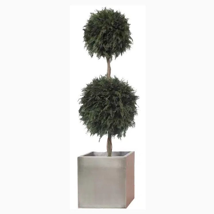 Stabilisierte Zierpflanze GREEN THUJA DOUBLE TOPIARY LinfaDecor