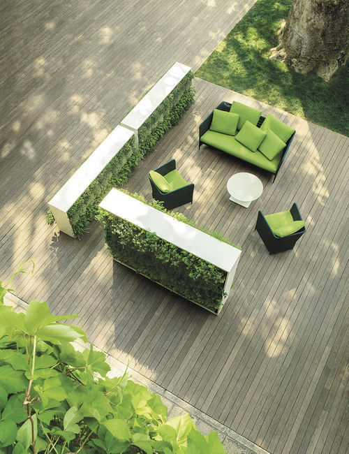 Stabilisierte Wandbegrünung - GREENERY - verde profilo srl - modulare