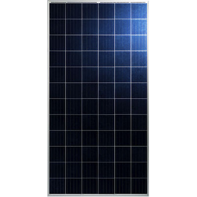 Polykristallines Photovoltaik-Modul - TP672P - Talesun Solar - farbig