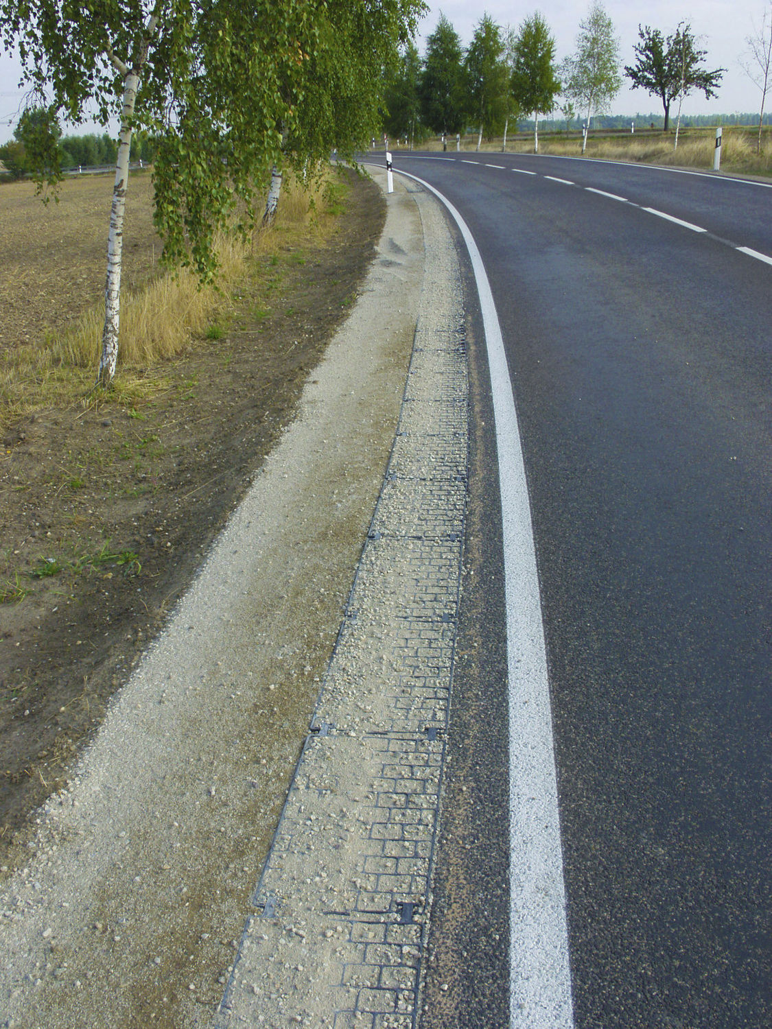 Kies-Stabilisatorgitter HDPE - Erosionsschutz 40x40cm Trägt 3600kg