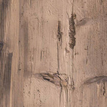 Holzpaneel für Bauanwendungen / wandmontiert...