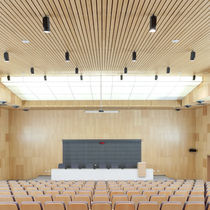 Abgehängte Decke / Holz, Holzdeckensystem - alle Hersteller aus