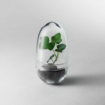 Moderne Vase / Glas