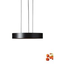 Hängelampe / modern / Metall / LED