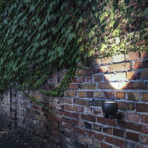 Wandstrahler / Außenbereich / LED / rund