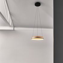 Hängelampe / Aluminium / modern / LED