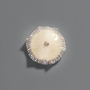 moderne Wandleuchte / Bronze / Muranoglas / LED