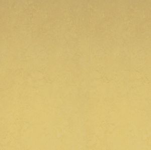 Linoleum-Bodenbelag