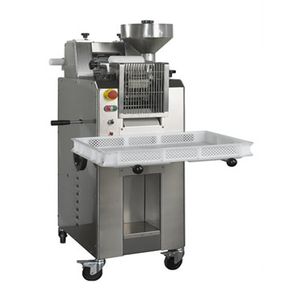 Profi-Nudelmaschine