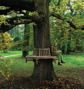klassische Gartenbank